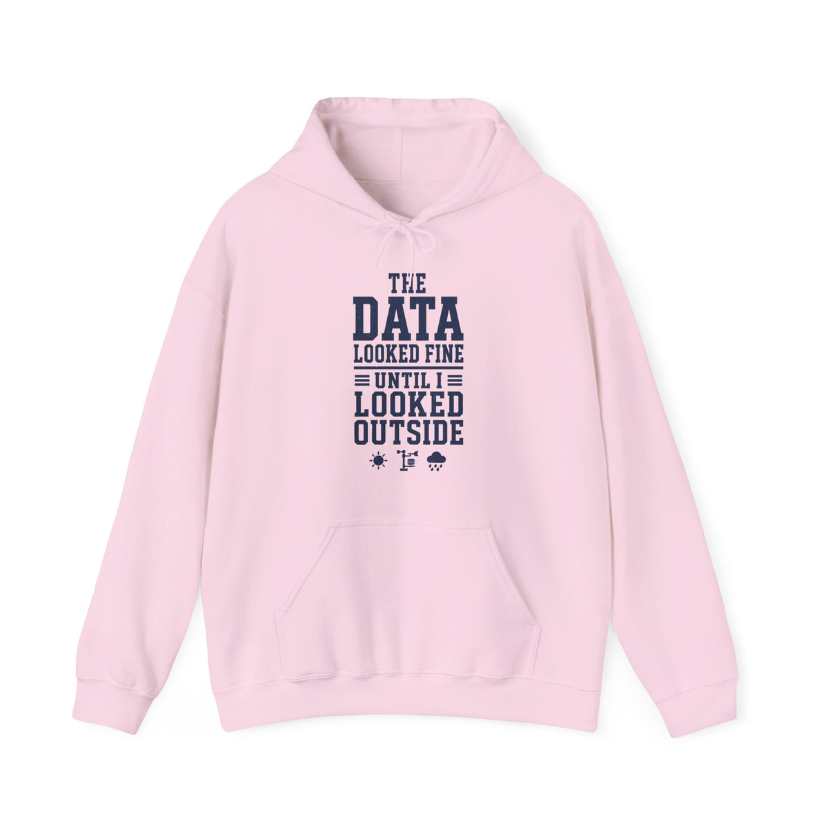 The Data Looked Fine Until I Looked Outside Hoodie