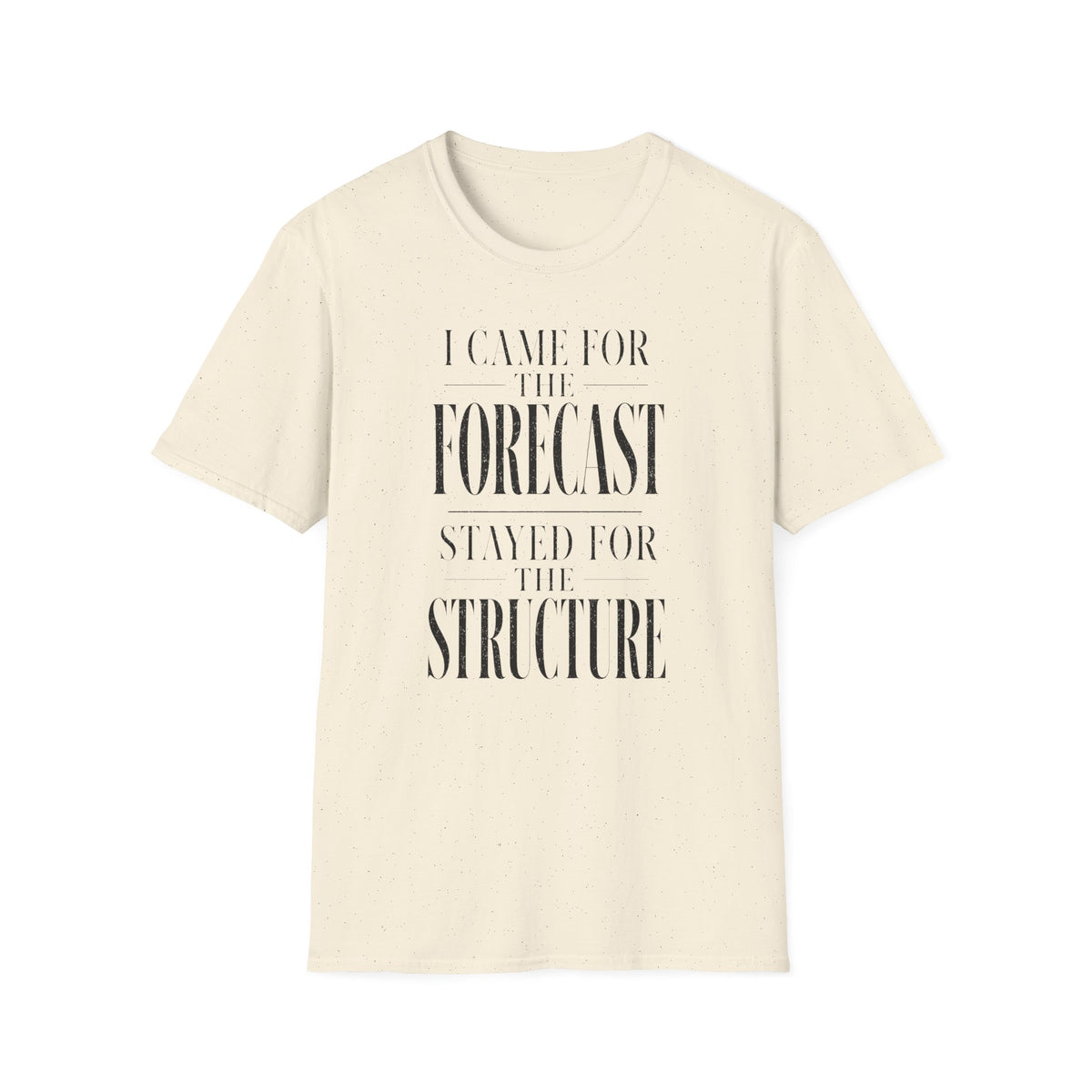 I Came for the Forecast Stayed for the Structure T-Shirt