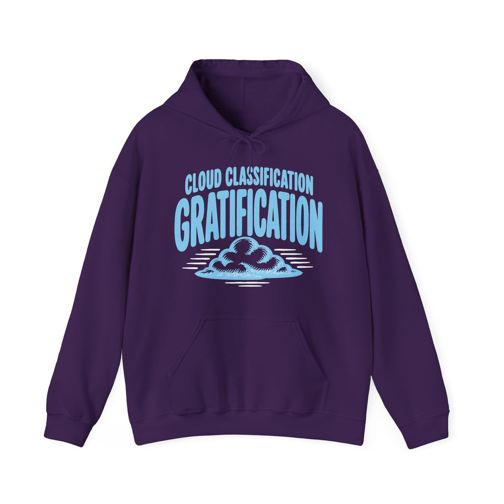 Cloud Classification Gratification Hoodie