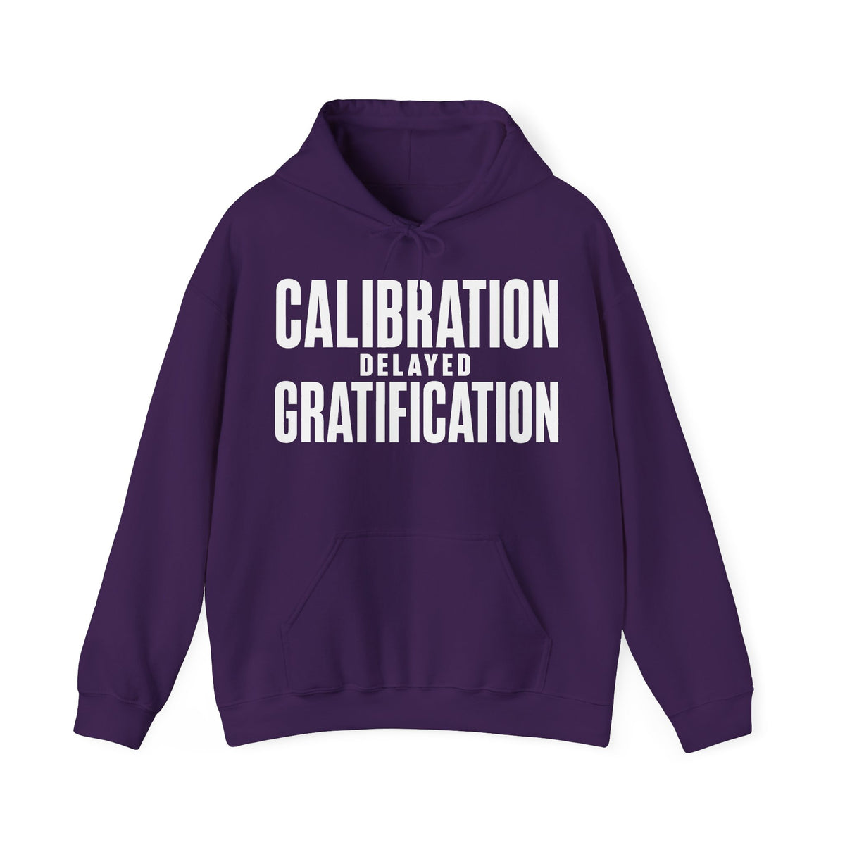 Calibration Delayed Gratification Hoodie