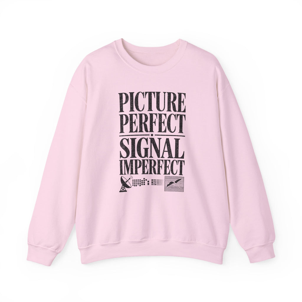 Picture Perfect Signal Imperfect Crewneck