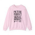 Picture Perfect Signal Imperfect Crewneck