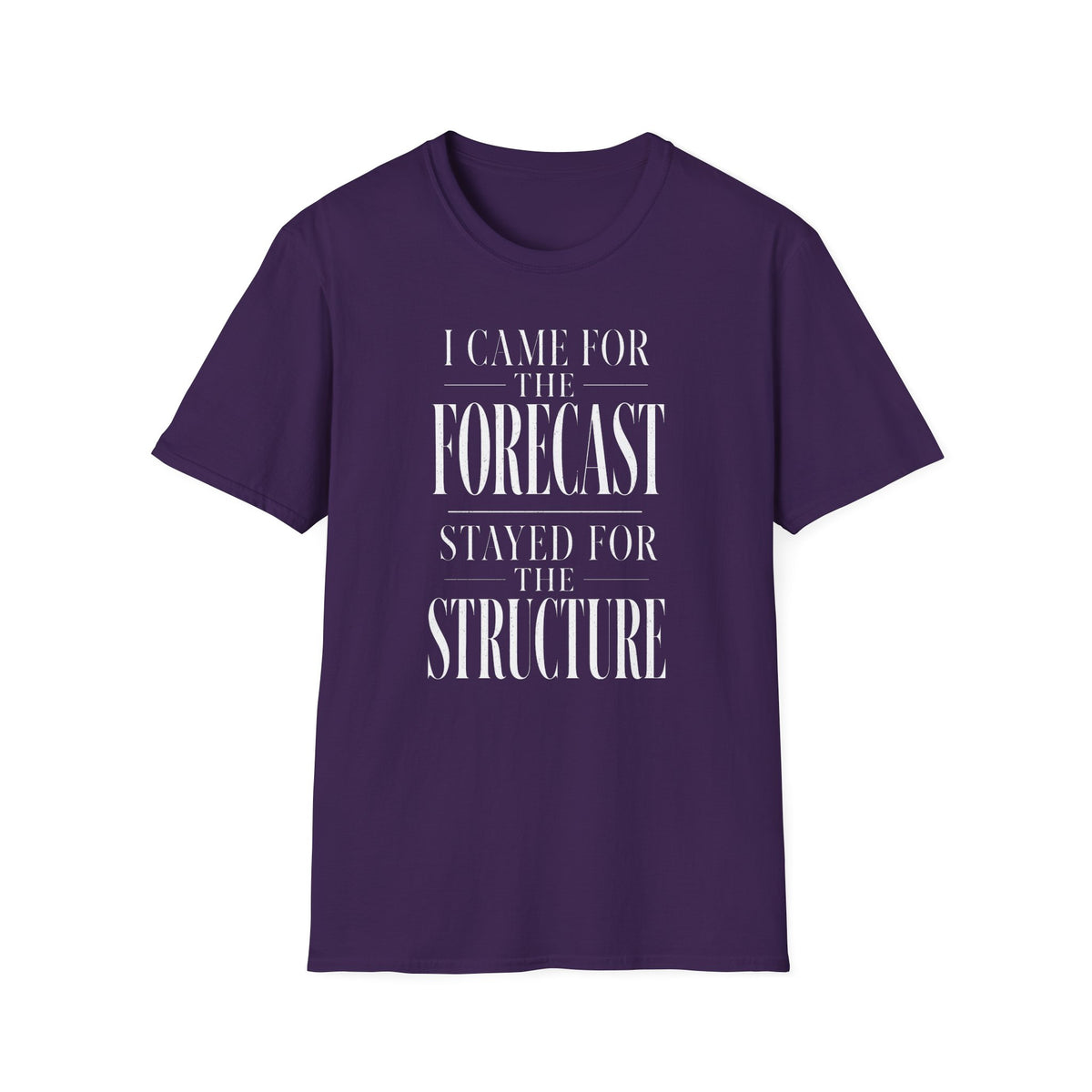 I Came for the Forecast Stayed for the Structure T-Shirt