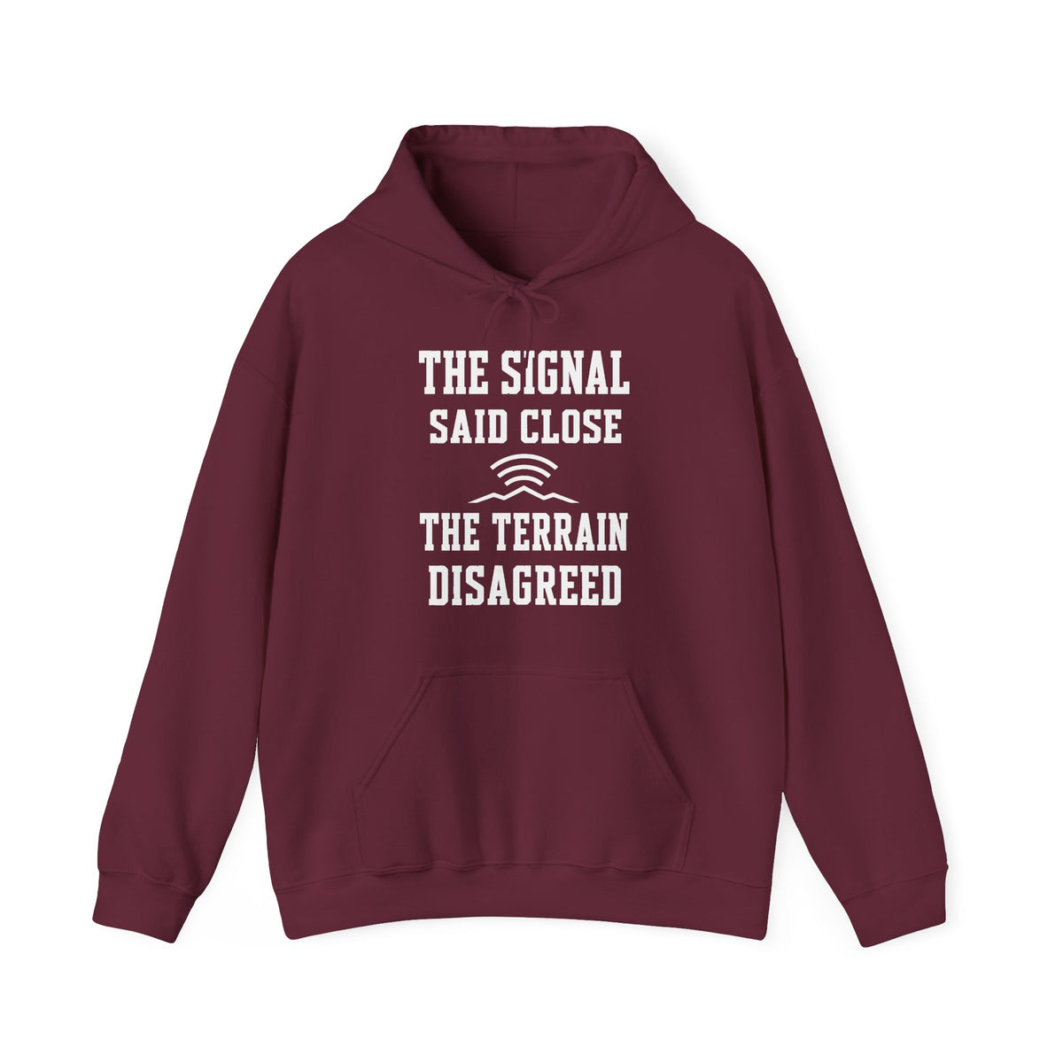 The Signal Said Close the Terrain Disagreed Hoodie