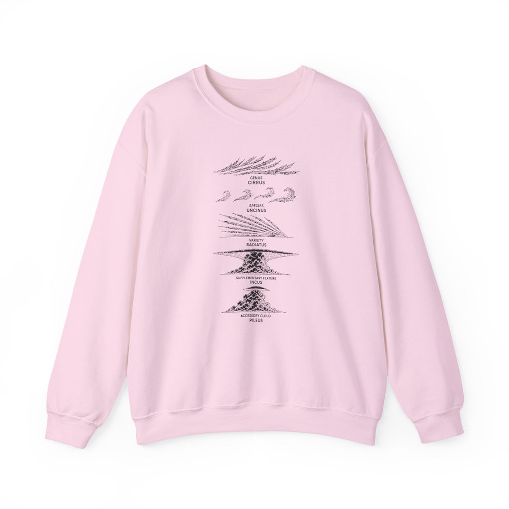 Cloud Description Levels Crewneck