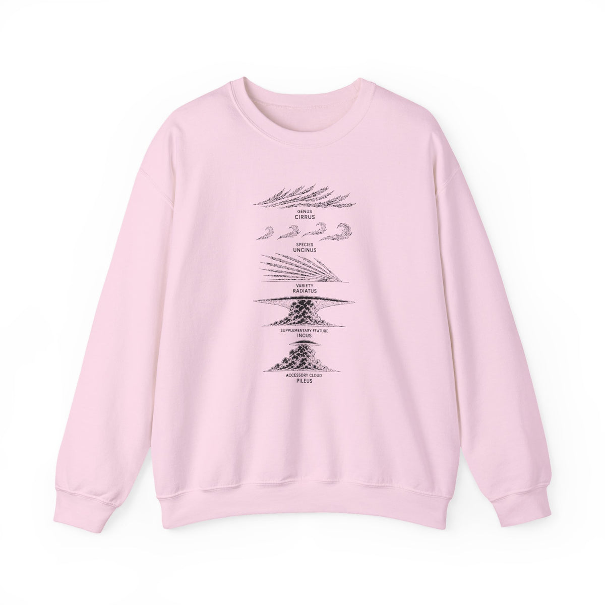 Cloud Description Levels Crewneck