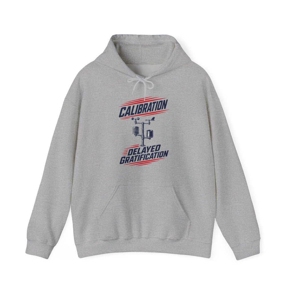 Calibration Delayed Gratification Hoodie