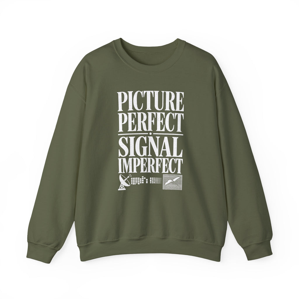Picture Perfect Signal Imperfect Crewneck