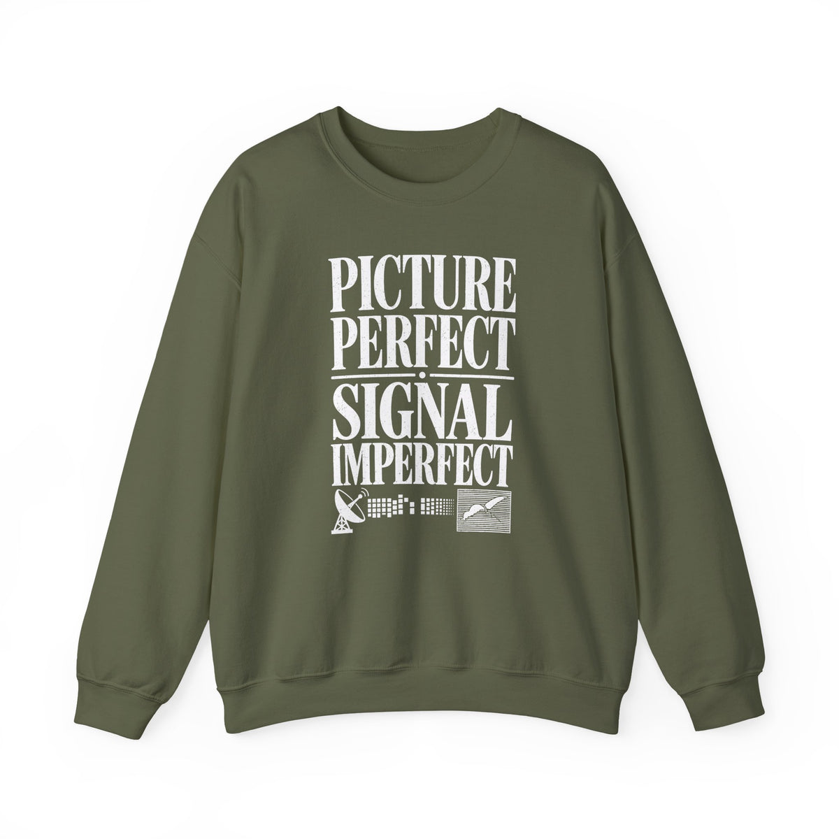 Picture Perfect Signal Imperfect Crewneck