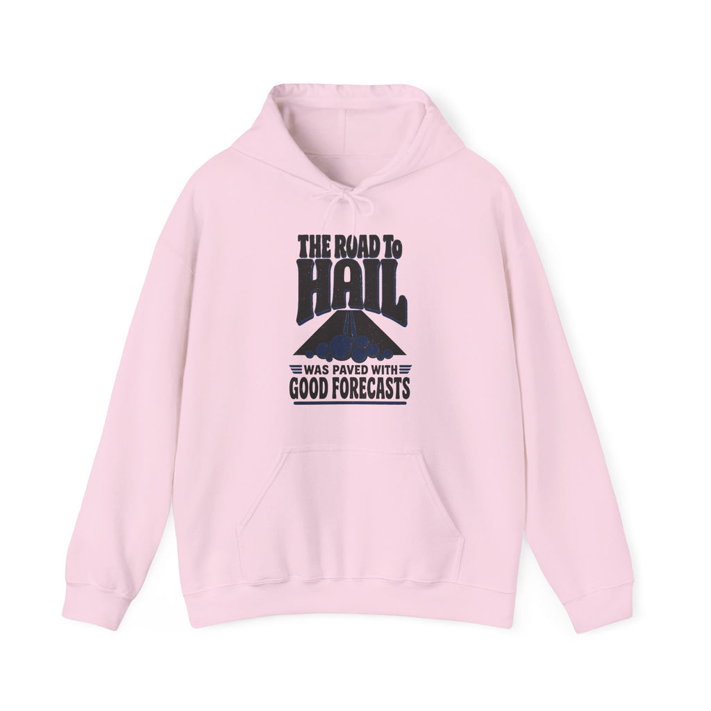 The Road to Hail Was Paved with Good Forecasts Hoodie