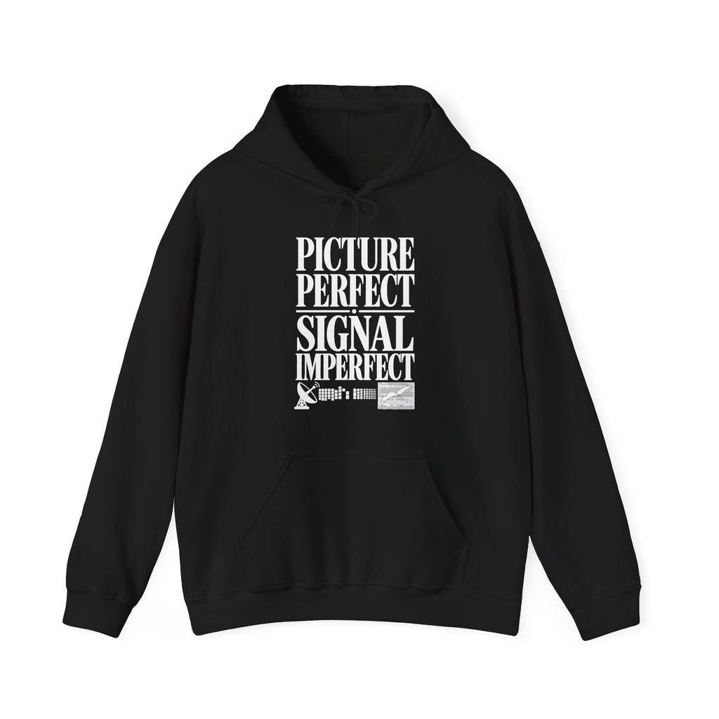 Picture Perfect Signal Imperfect Hoodie