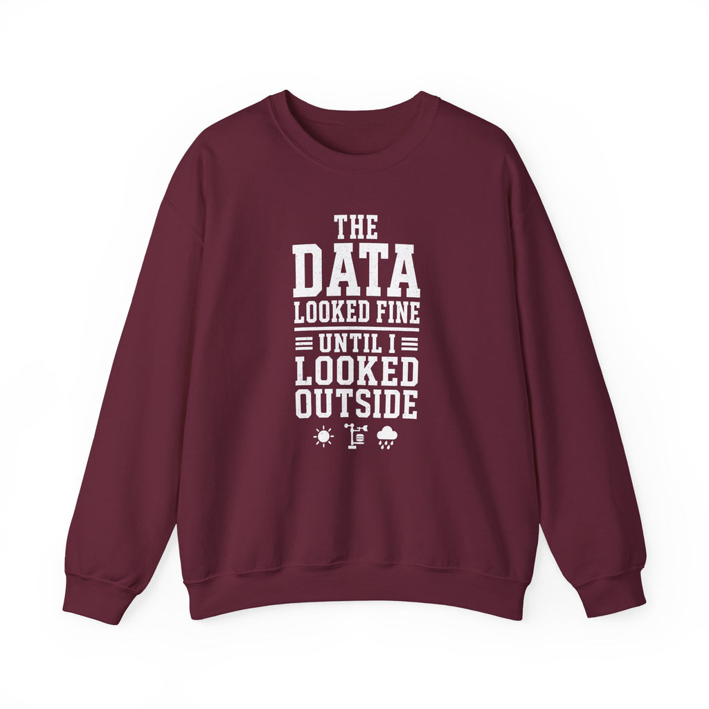 The Data Looked Fine Until I Looked Outside Crewneck