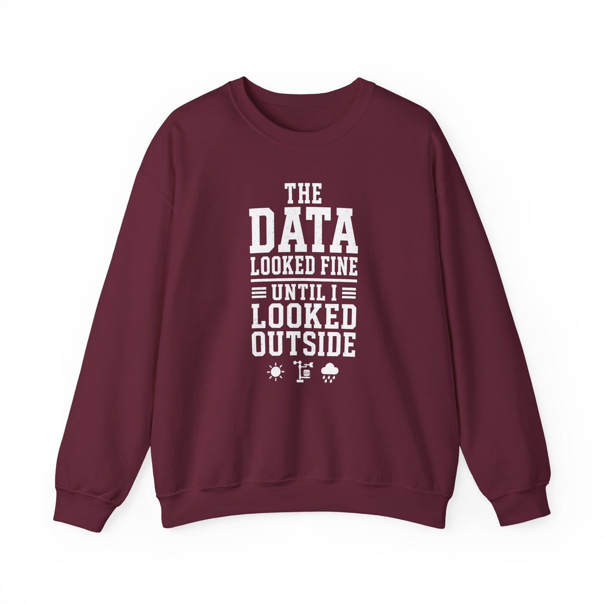 The Data Looked Fine Until I Looked Outside Crewneck