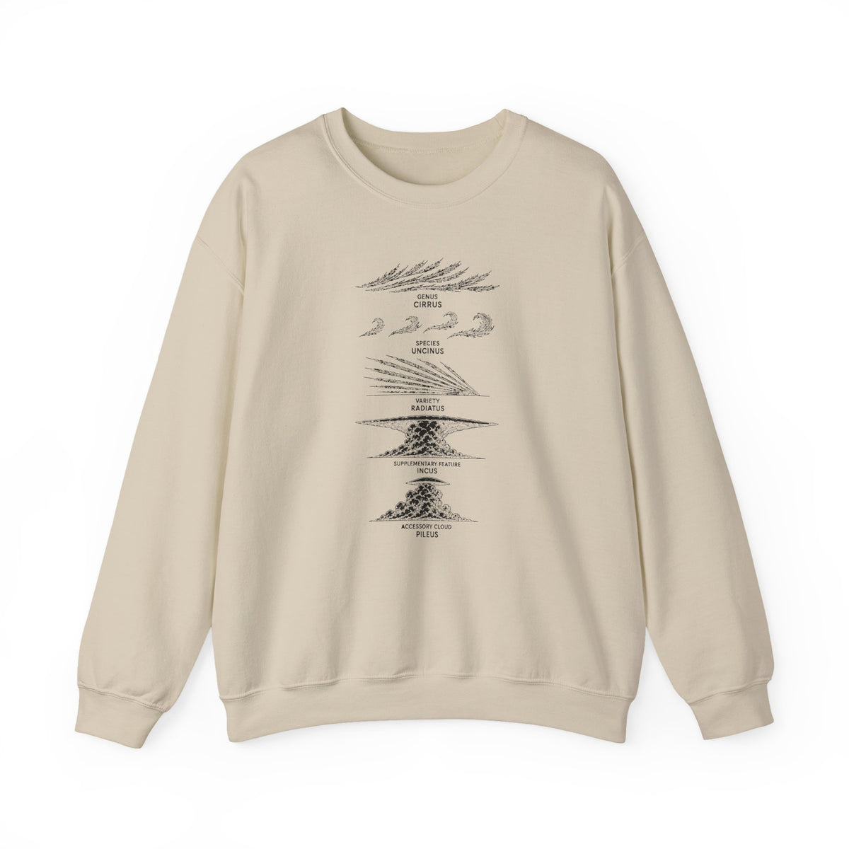 Cloud Description Levels Crewneck