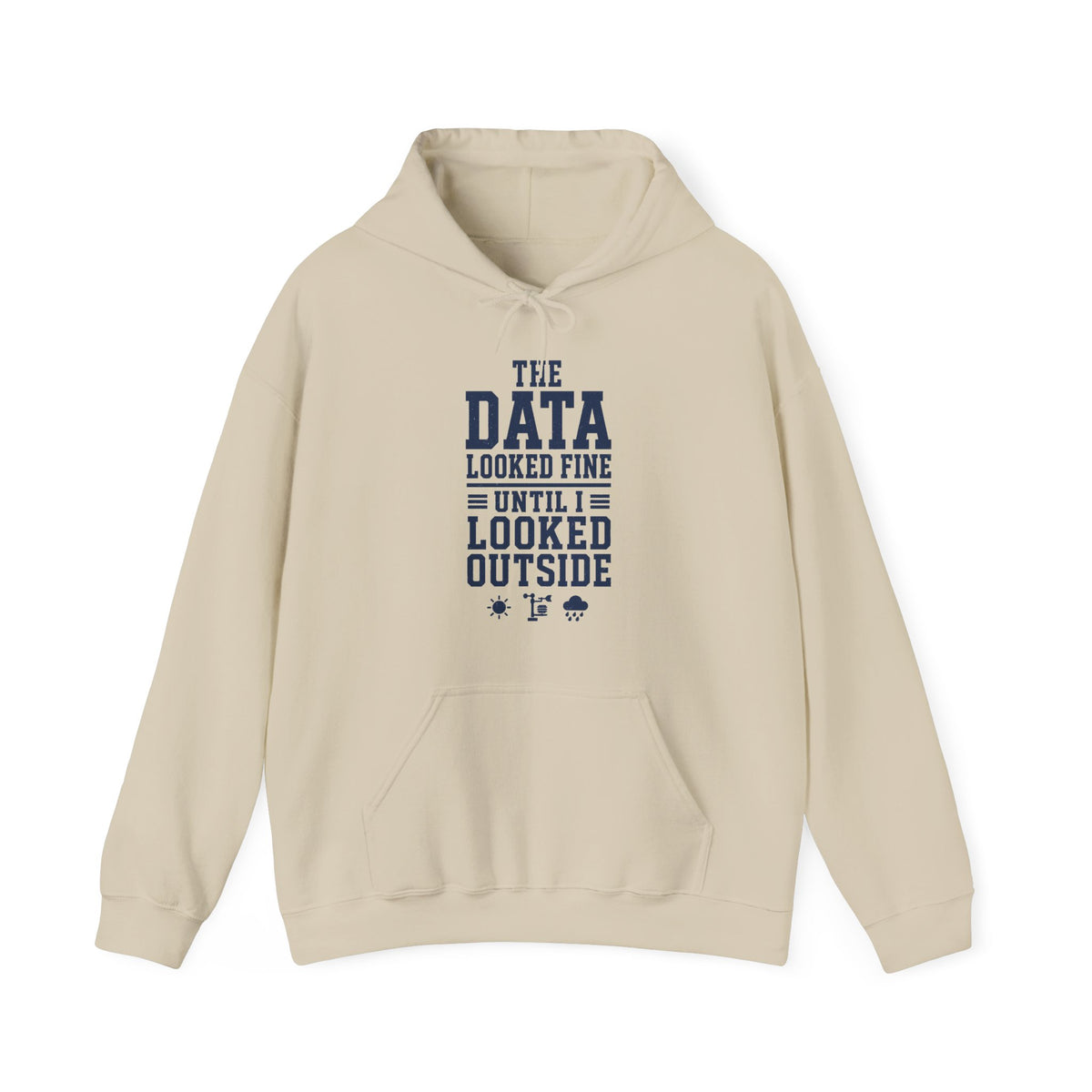 The Data Looked Fine Until I Looked Outside Hoodie
