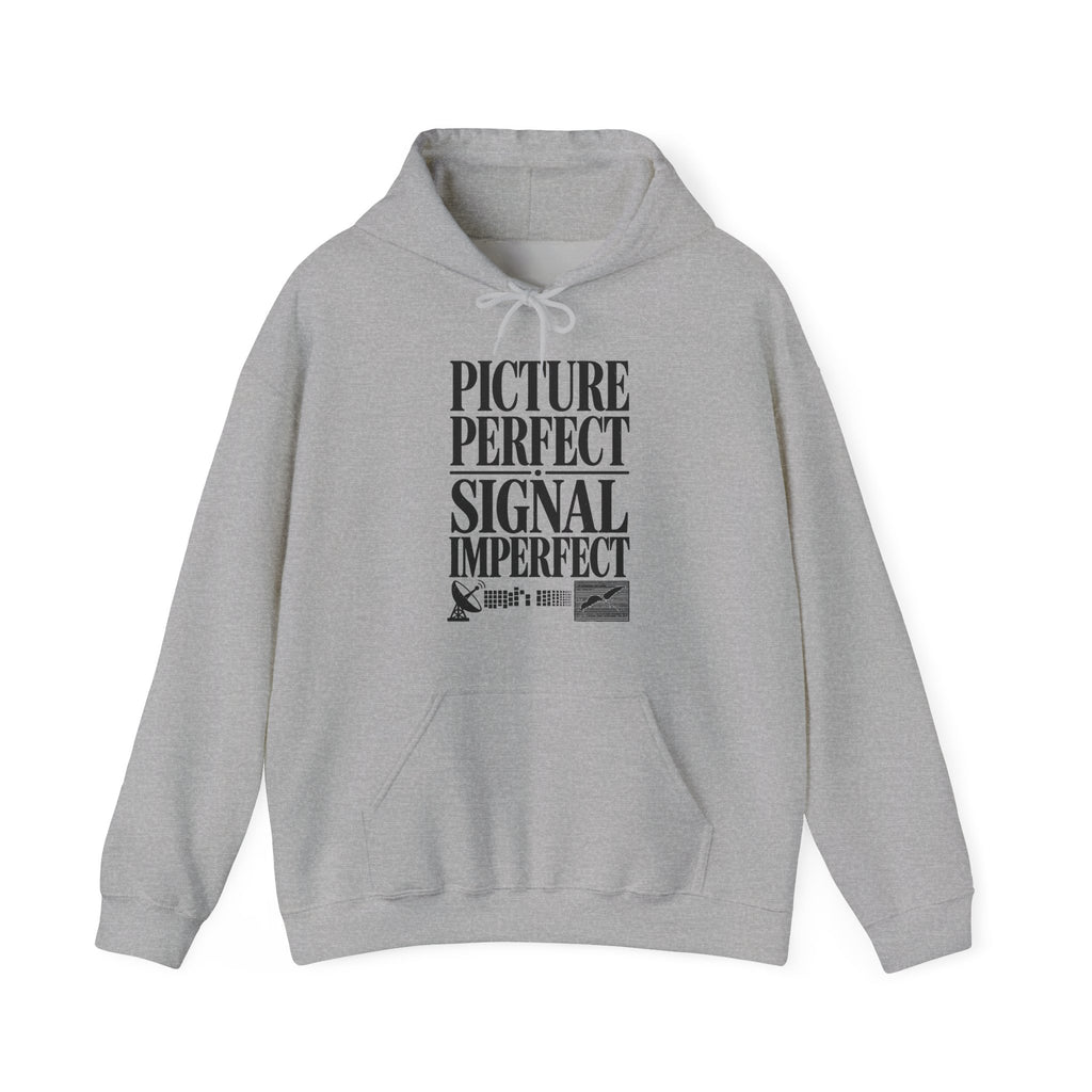 Picture Perfect Signal Imperfect Hoodie