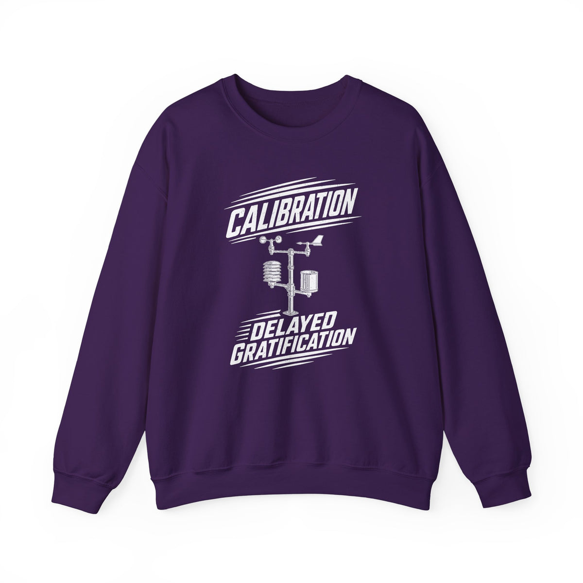 Calibration Delayed Gratification Crewneck