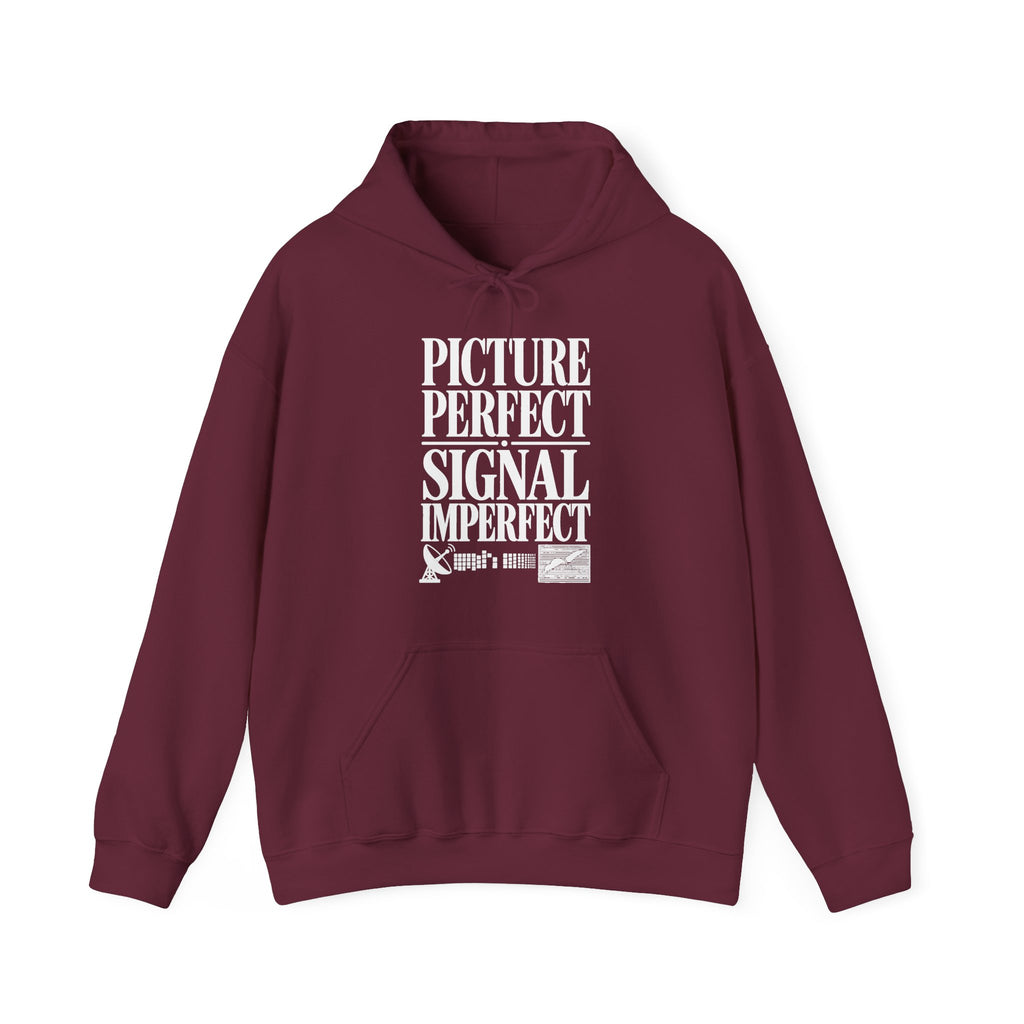 Picture Perfect Signal Imperfect Hoodie