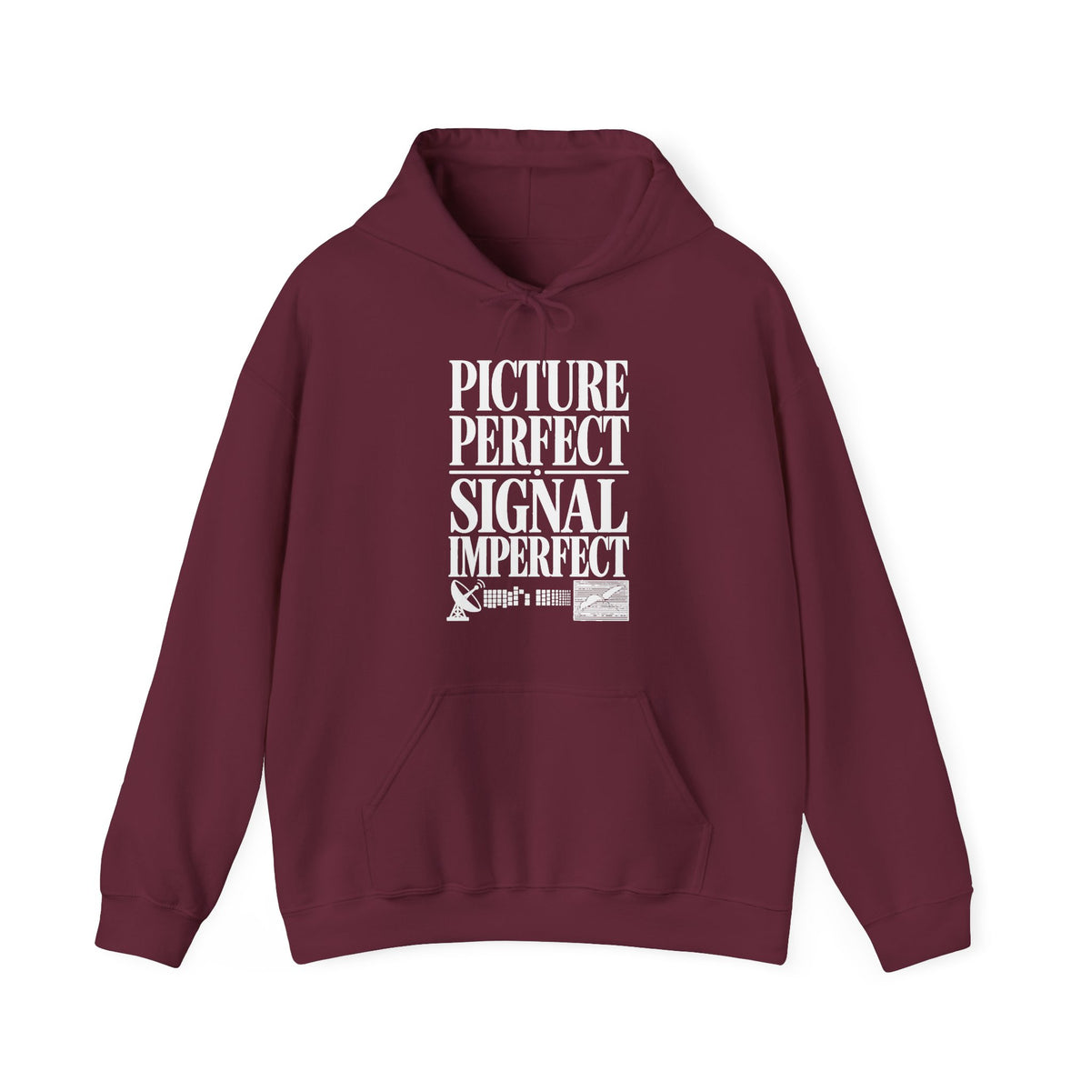 Picture Perfect Signal Imperfect Hoodie