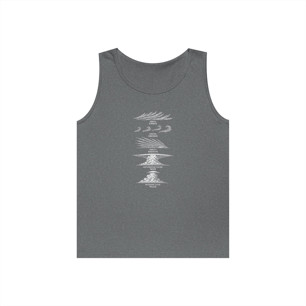 Cloud Description Levels Tank Top