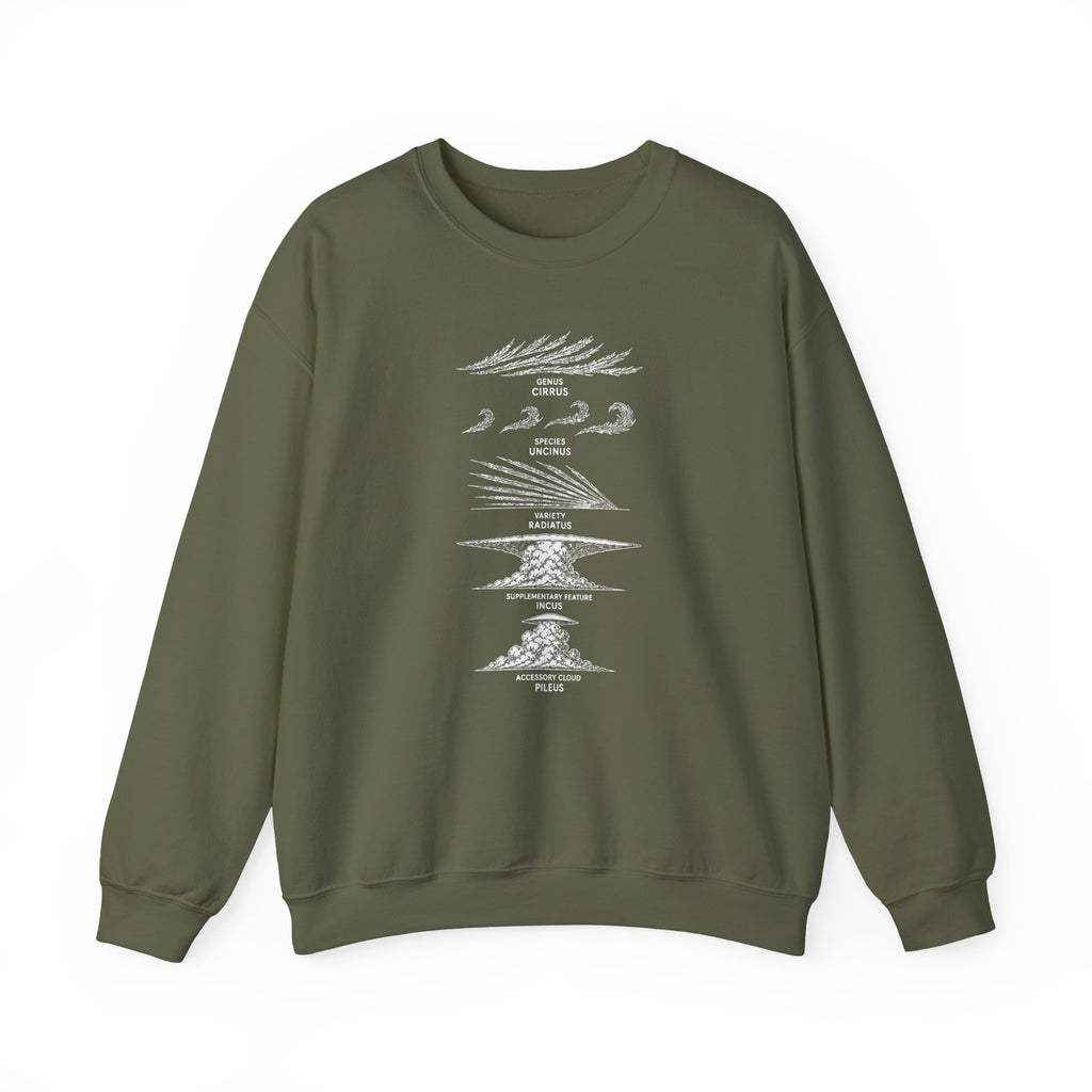 Cloud Description Levels Crewneck