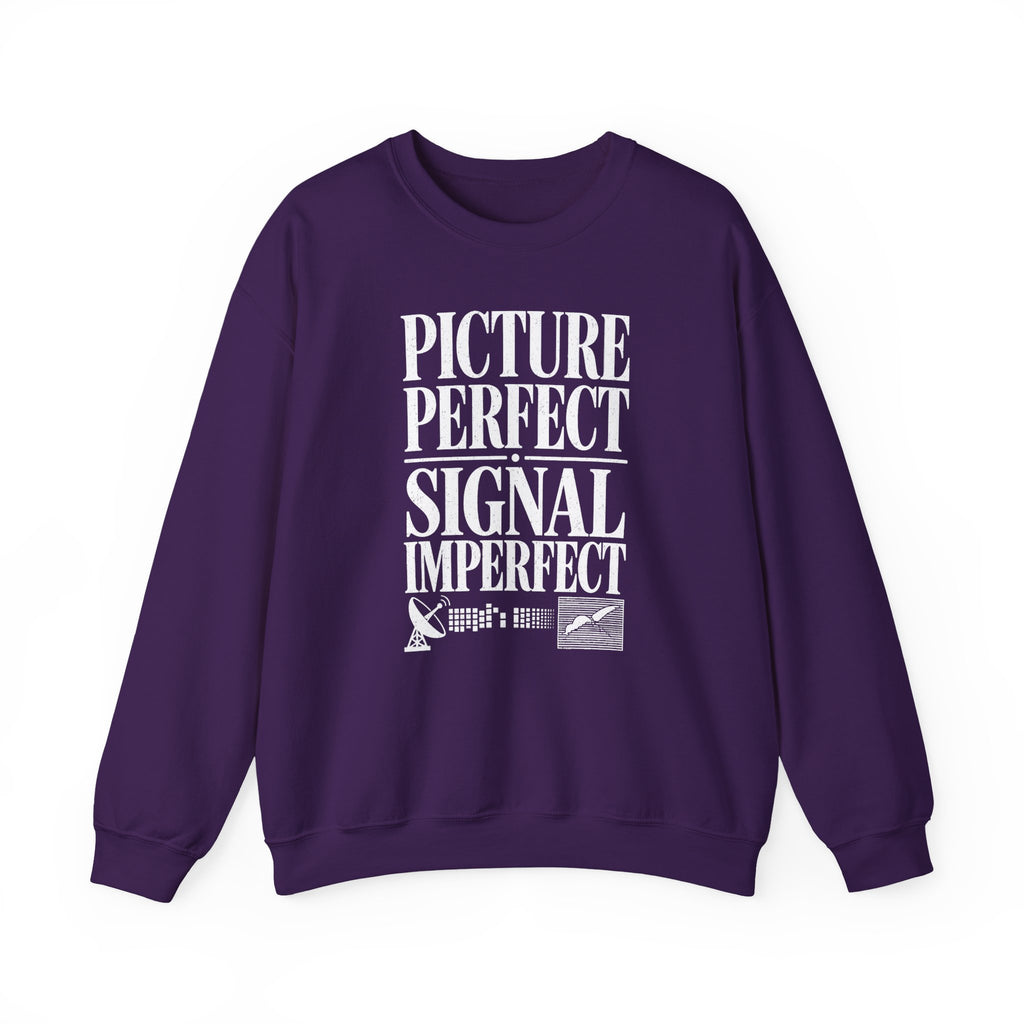 Picture Perfect Signal Imperfect Crewneck