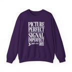 Picture Perfect Signal Imperfect Crewneck