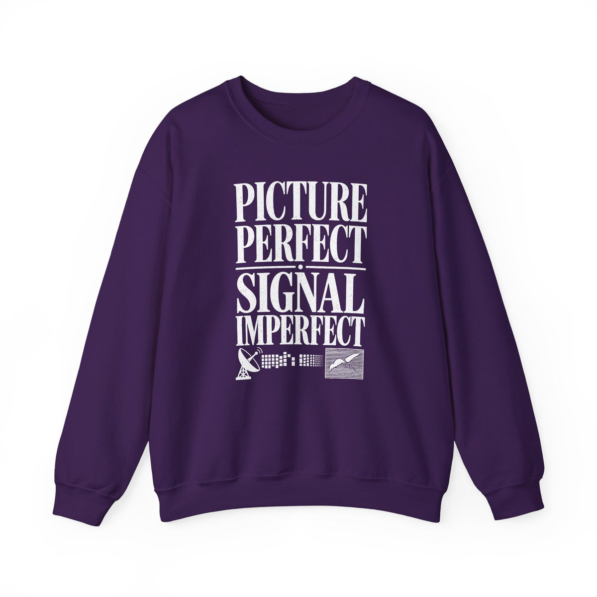 Picture Perfect Signal Imperfect Crewneck