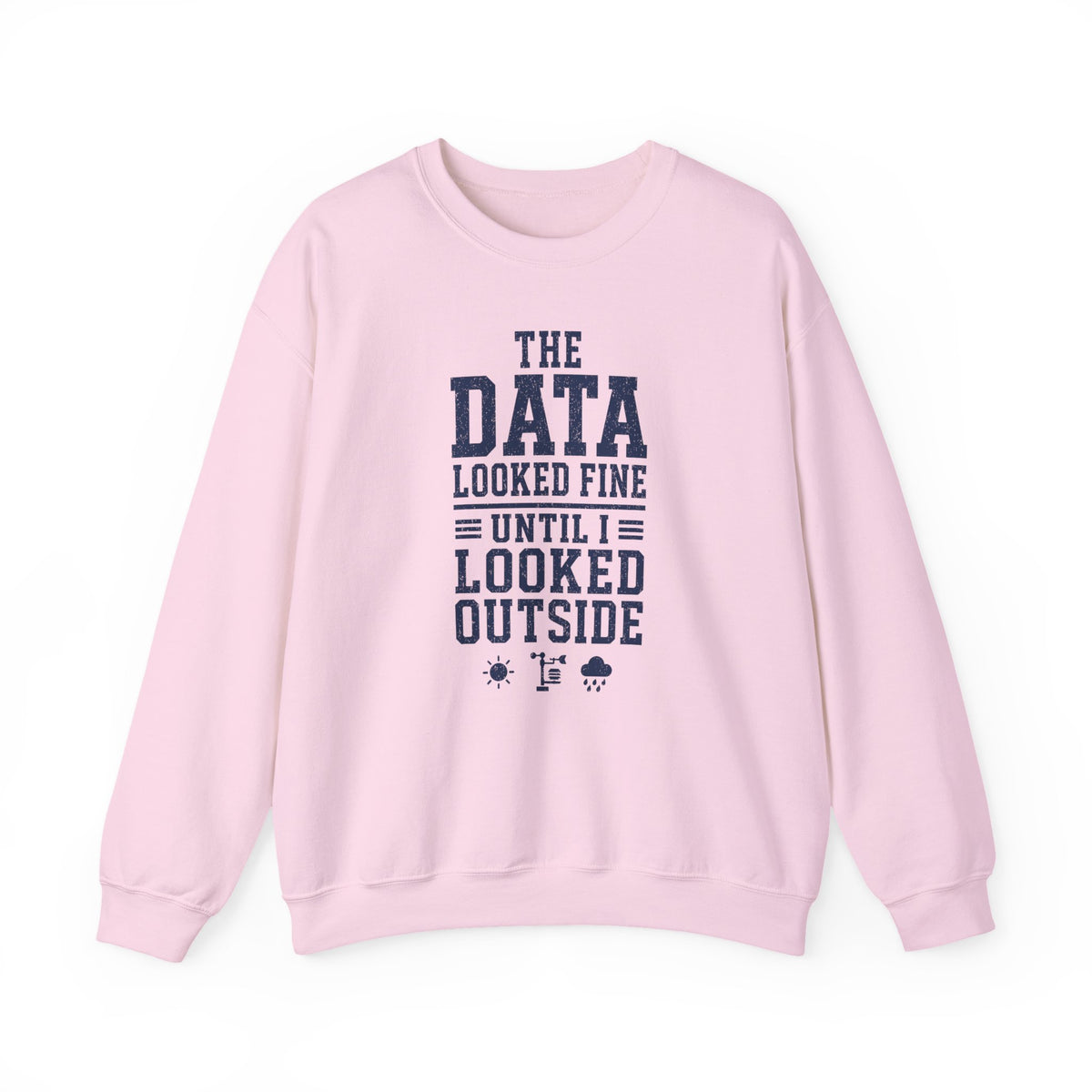 The Data Looked Fine Until I Looked Outside Crewneck