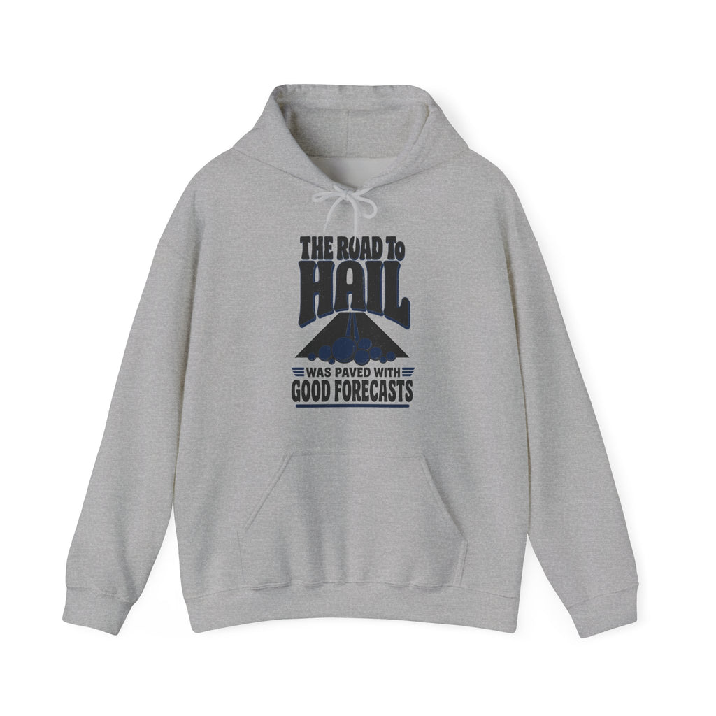 The Road to Hail Was Paved with Good Forecasts Hoodie