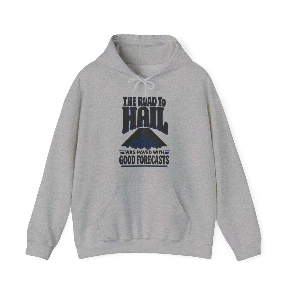 The Road to Hail Was Paved with Good Forecasts Hoodie