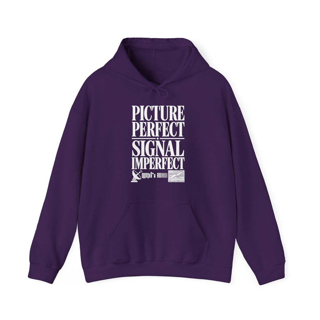 Picture Perfect Signal Imperfect Hoodie