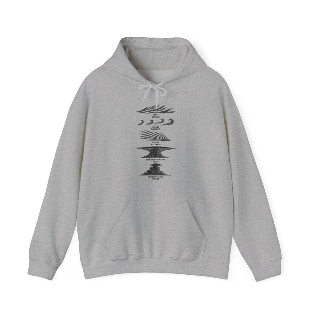 Cloud Description Levels Hoodie