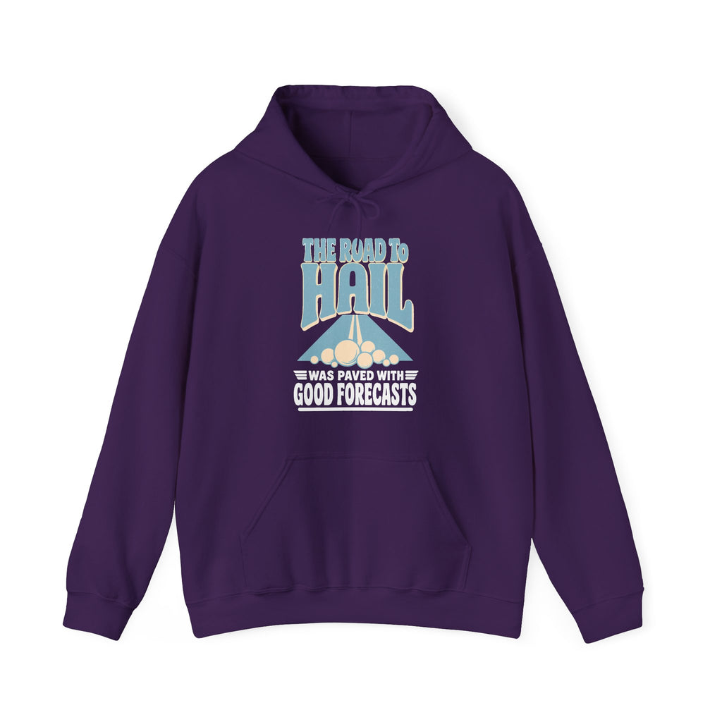 The Road to Hail Was Paved with Good Forecasts Hoodie