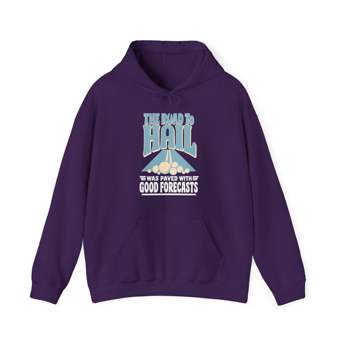 The Road to Hail Was Paved with Good Forecasts Hoodie