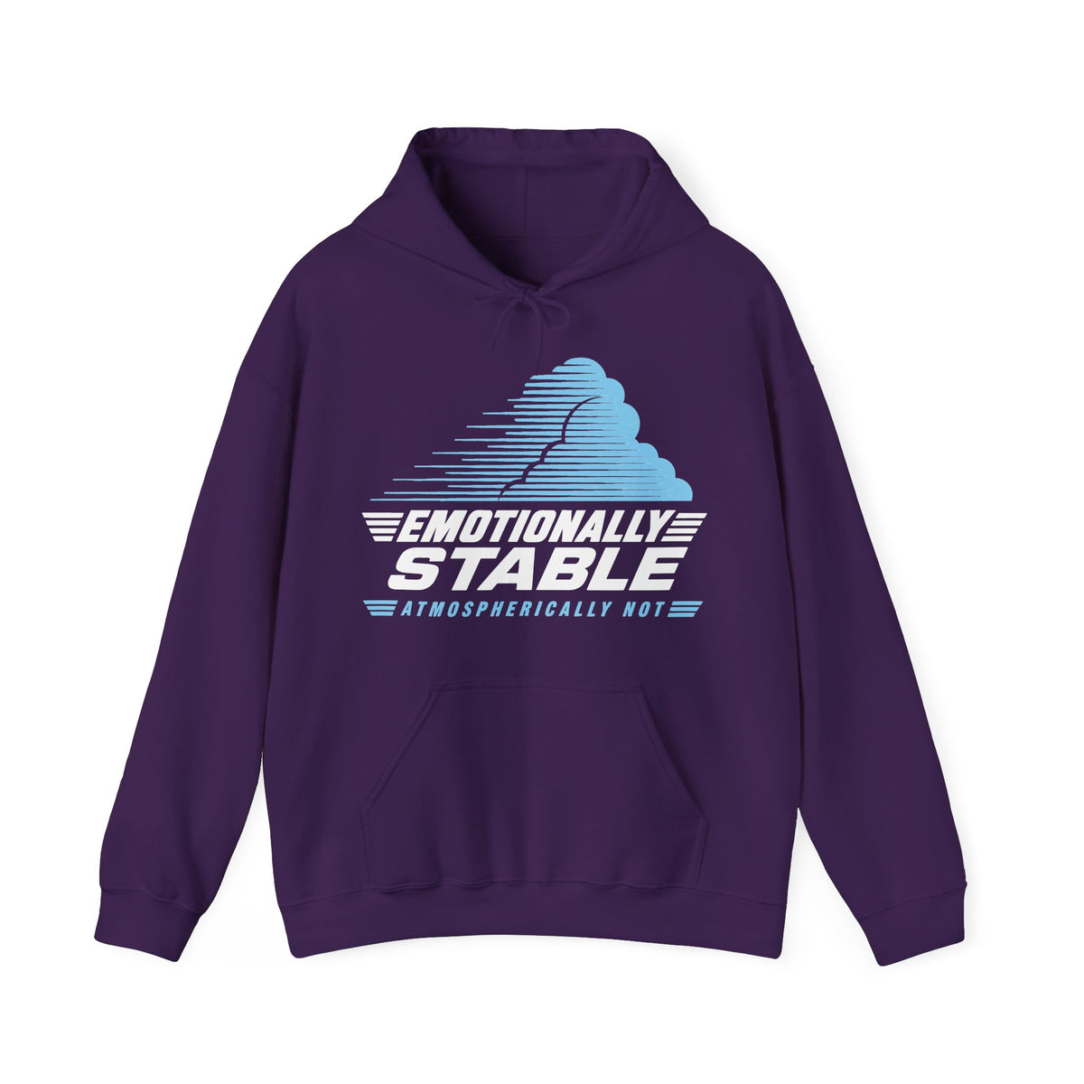 Emotionally Stable Atmospherically Not Hoodie