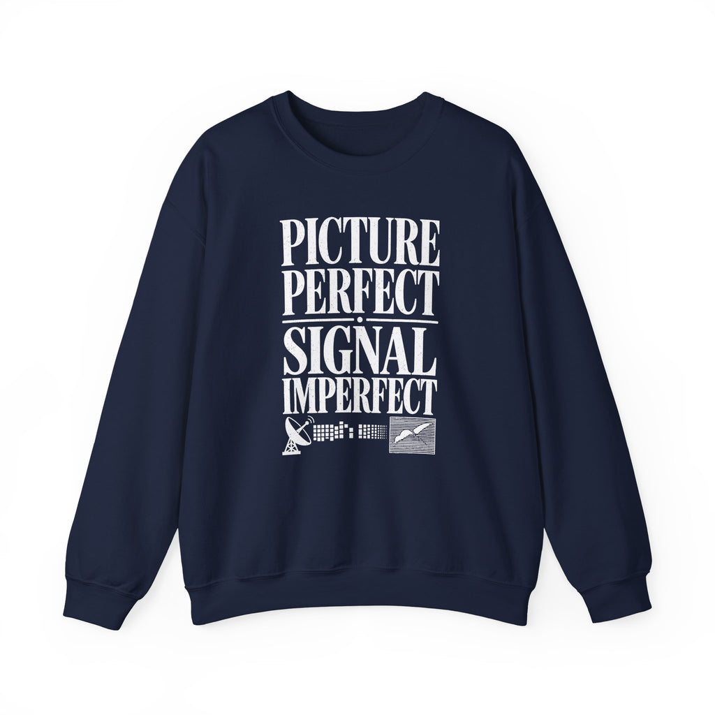 Picture Perfect Signal Imperfect Crewneck
