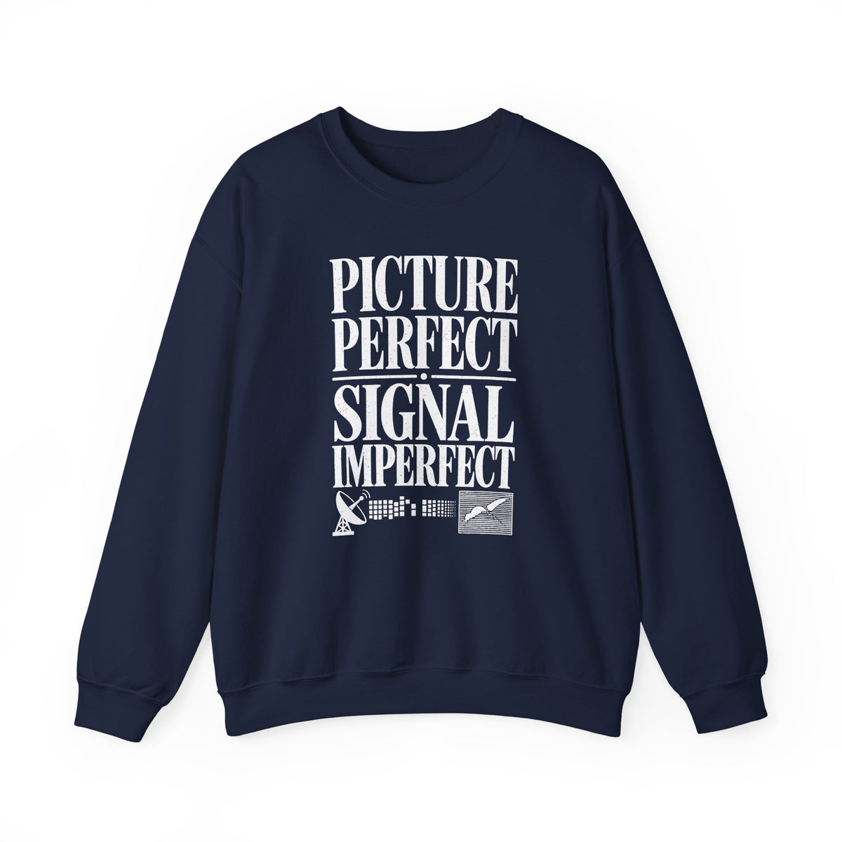 Picture Perfect Signal Imperfect Crewneck