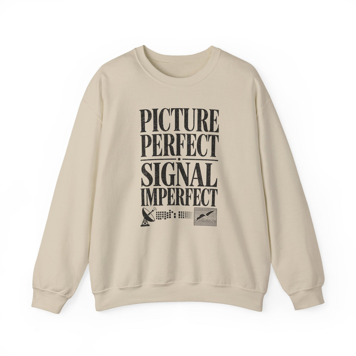Picture Perfect Signal Imperfect Crewneck