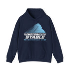 Emotionally Stable Atmospherically Not Hoodie
