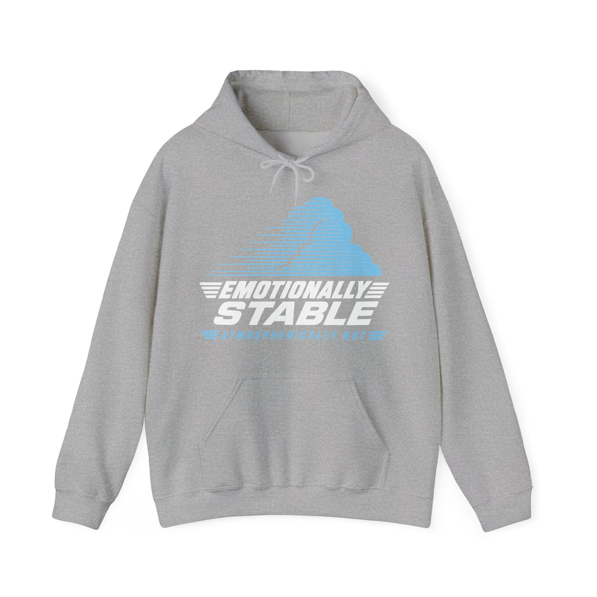 Emotionally Stable Atmospherically Not Hoodie