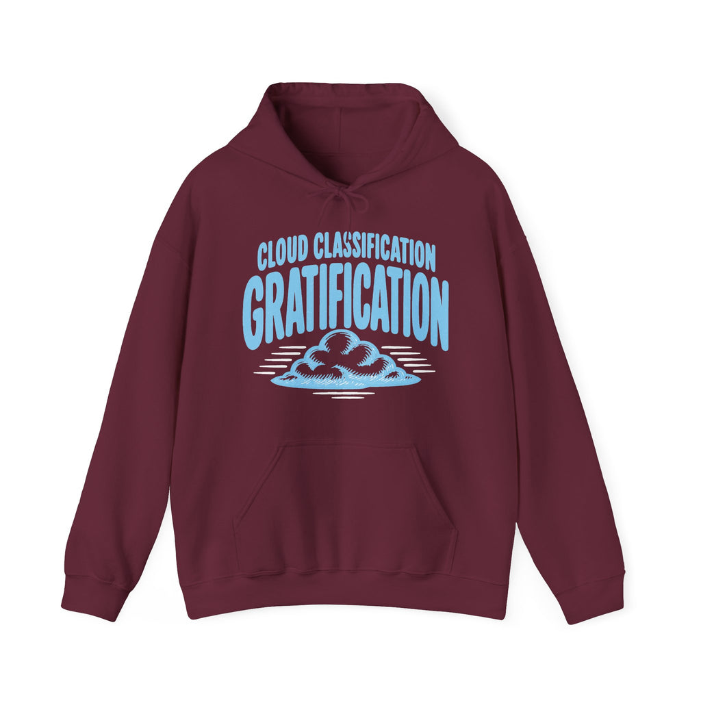 Cloud Classification Gratification Hoodie