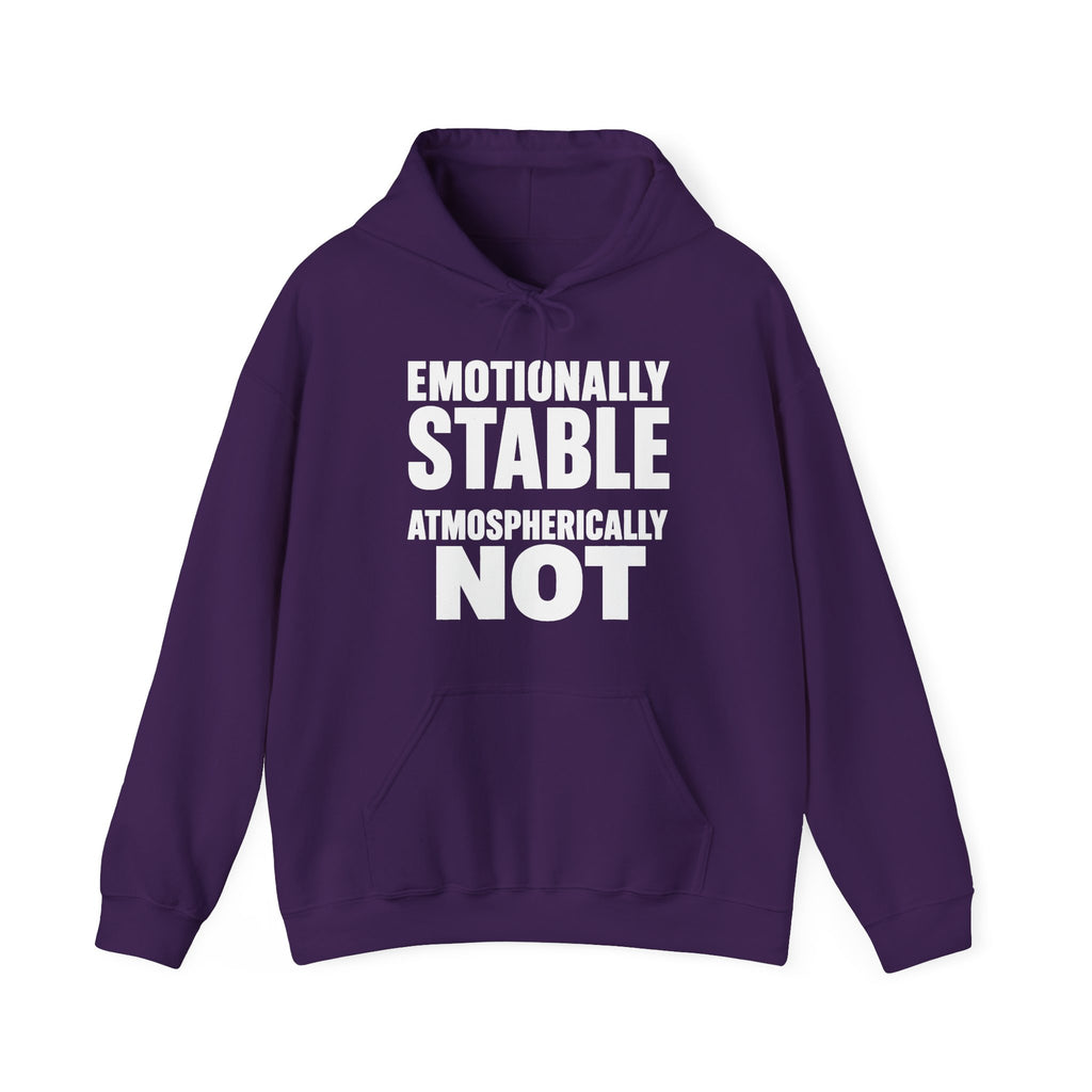 Emotionally Stable Atmospherically Not Hoodie