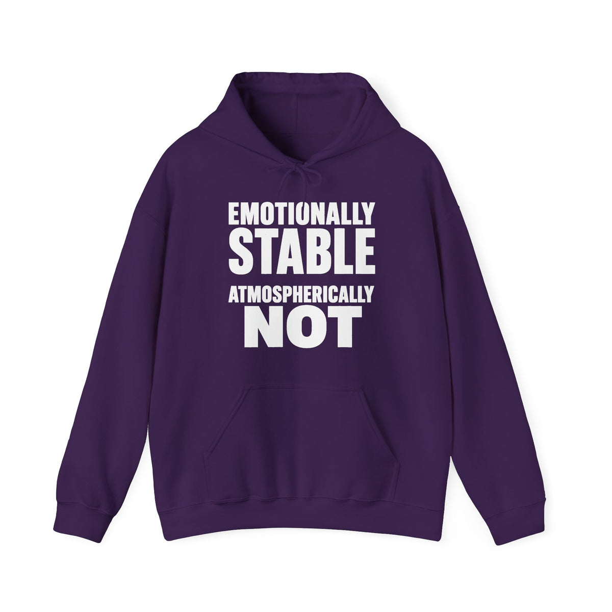 Emotionally Stable Atmospherically Not Hoodie
