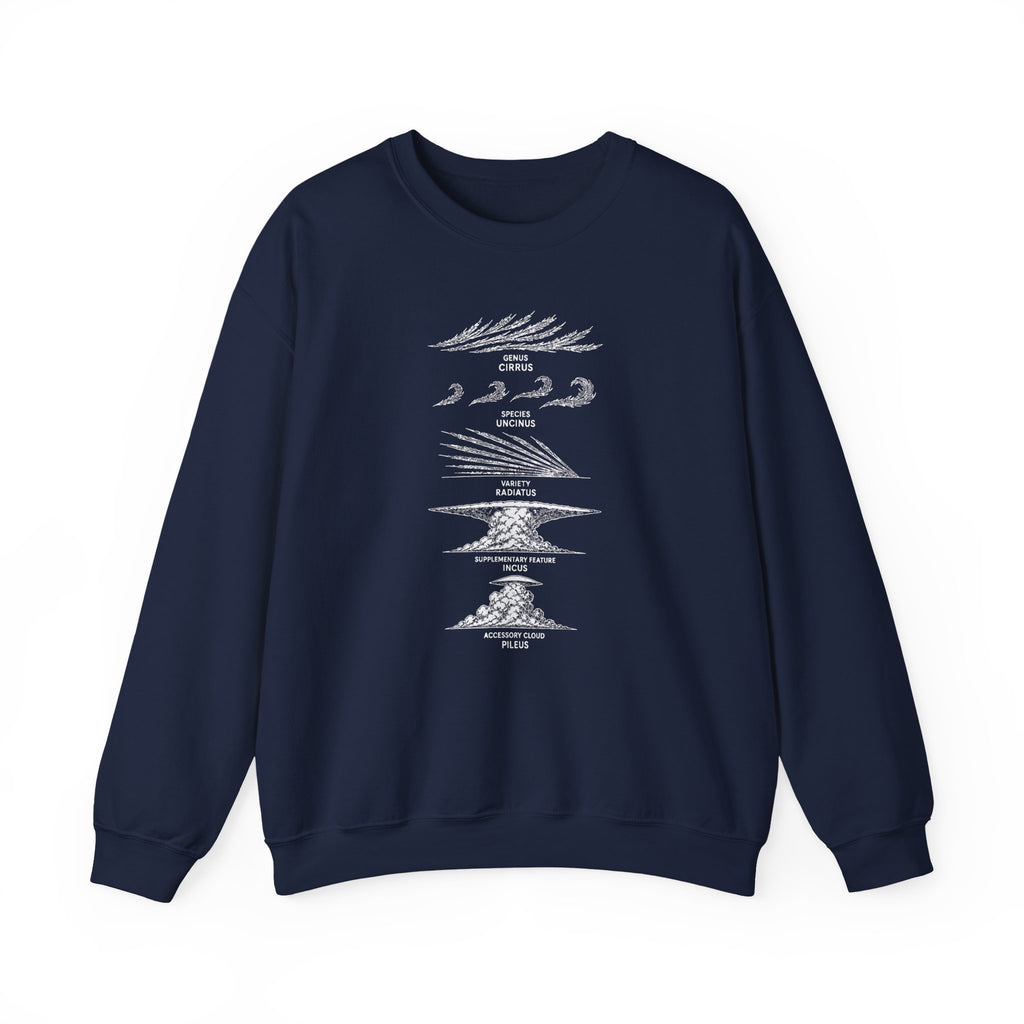 Cloud Description Levels Crewneck