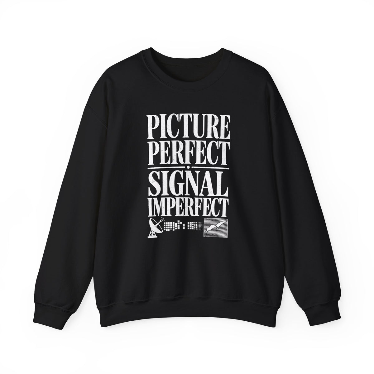 Picture Perfect Signal Imperfect Crewneck