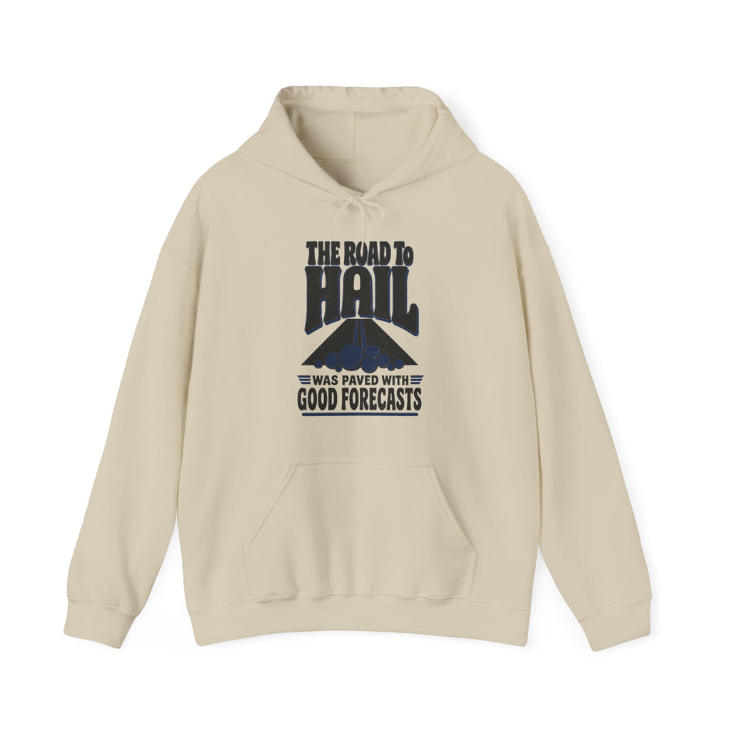 The Road to Hail Was Paved with Good Forecasts Hoodie