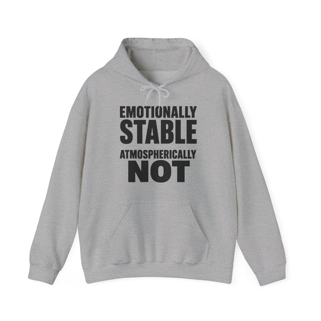 Emotionally Stable Atmospherically Not Hoodie