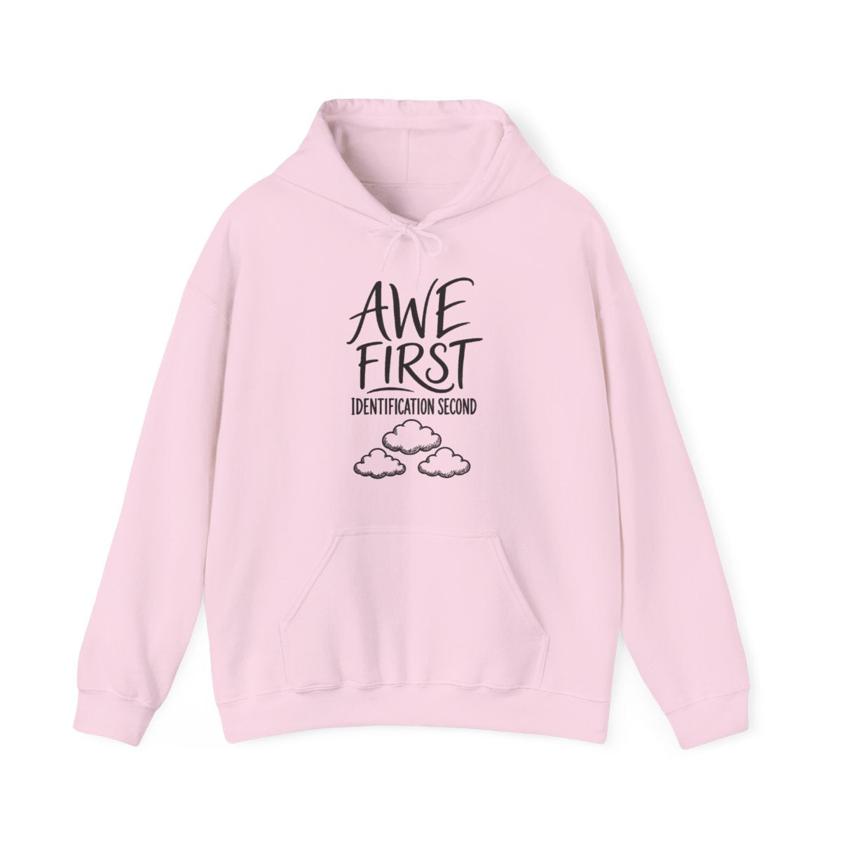 Awe First Identification Second Hoodie in Light Pink
