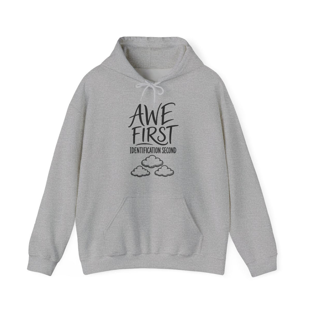 Awe First Identification Second Hoodie in Sport Grey